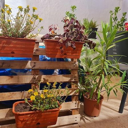 Estancia De Ensueno Y Relax Parking Gratuito Γρανάδα Εξωτερικό φωτογραφία