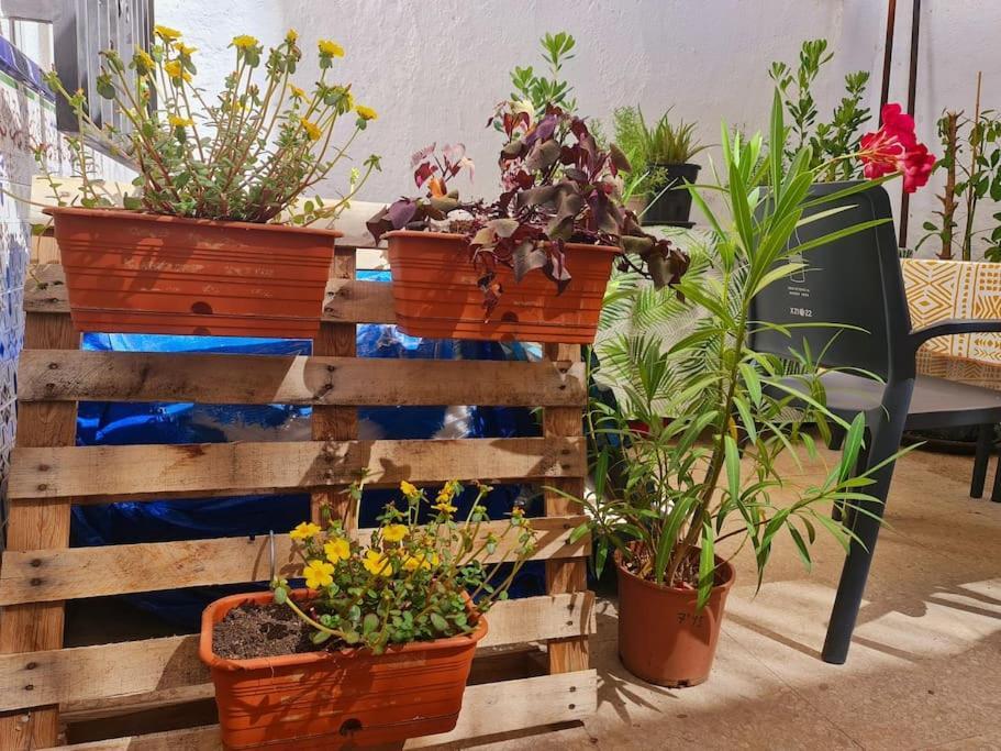 Estancia De Ensueno Y Relax Parking Gratuito Γρανάδα Εξωτερικό φωτογραφία